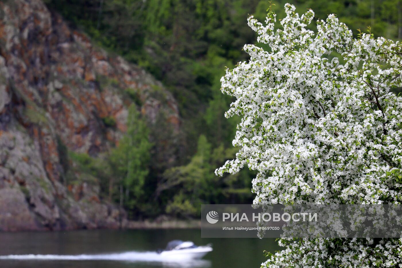 Лето в Красноярском крае