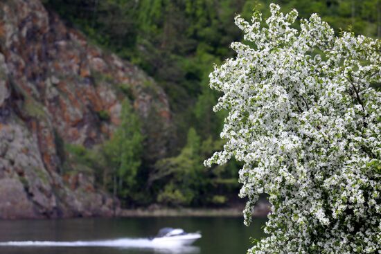 Лето в Красноярском крае