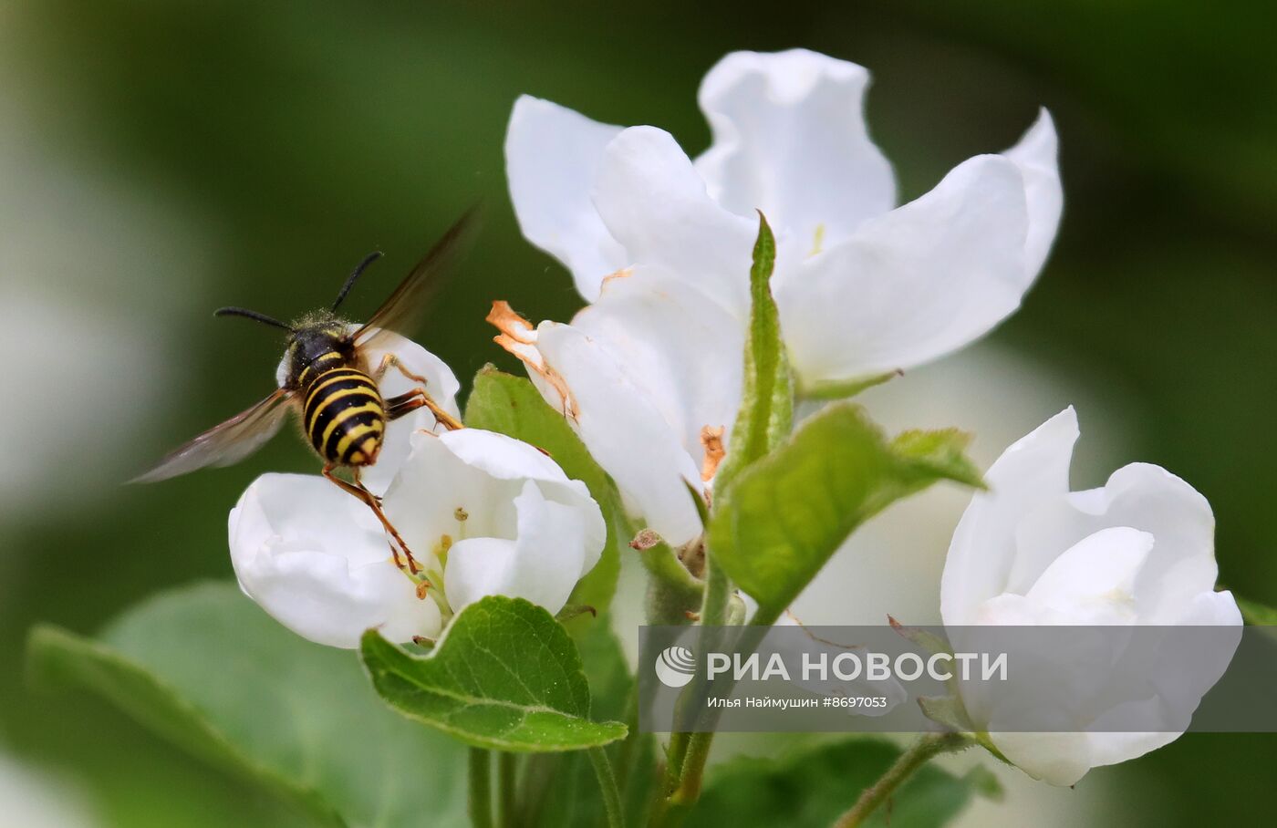 Лето в Красноярском крае