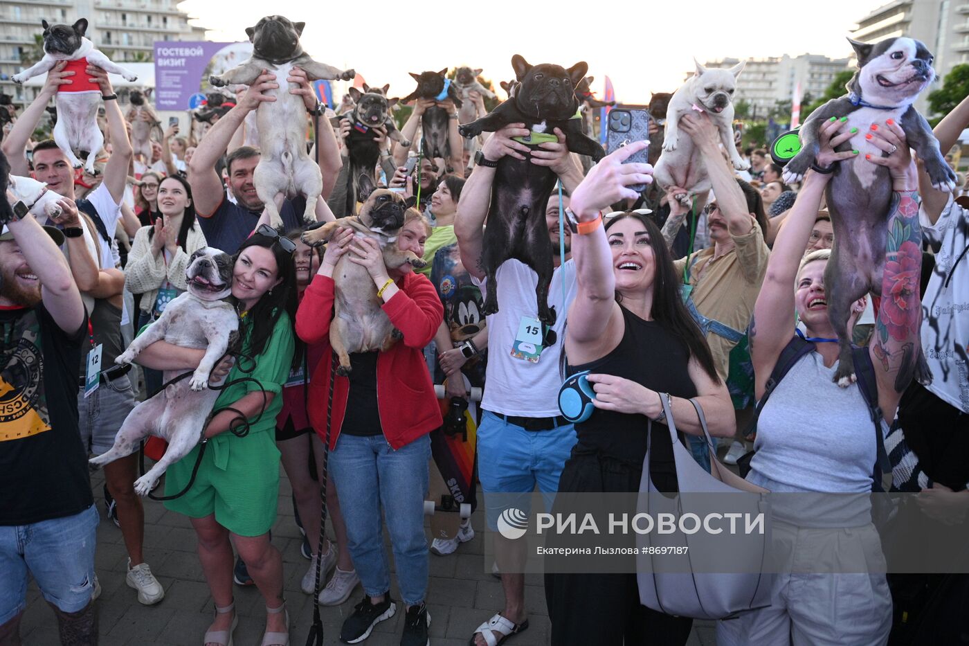 Парад французских бульдогов в Сочи