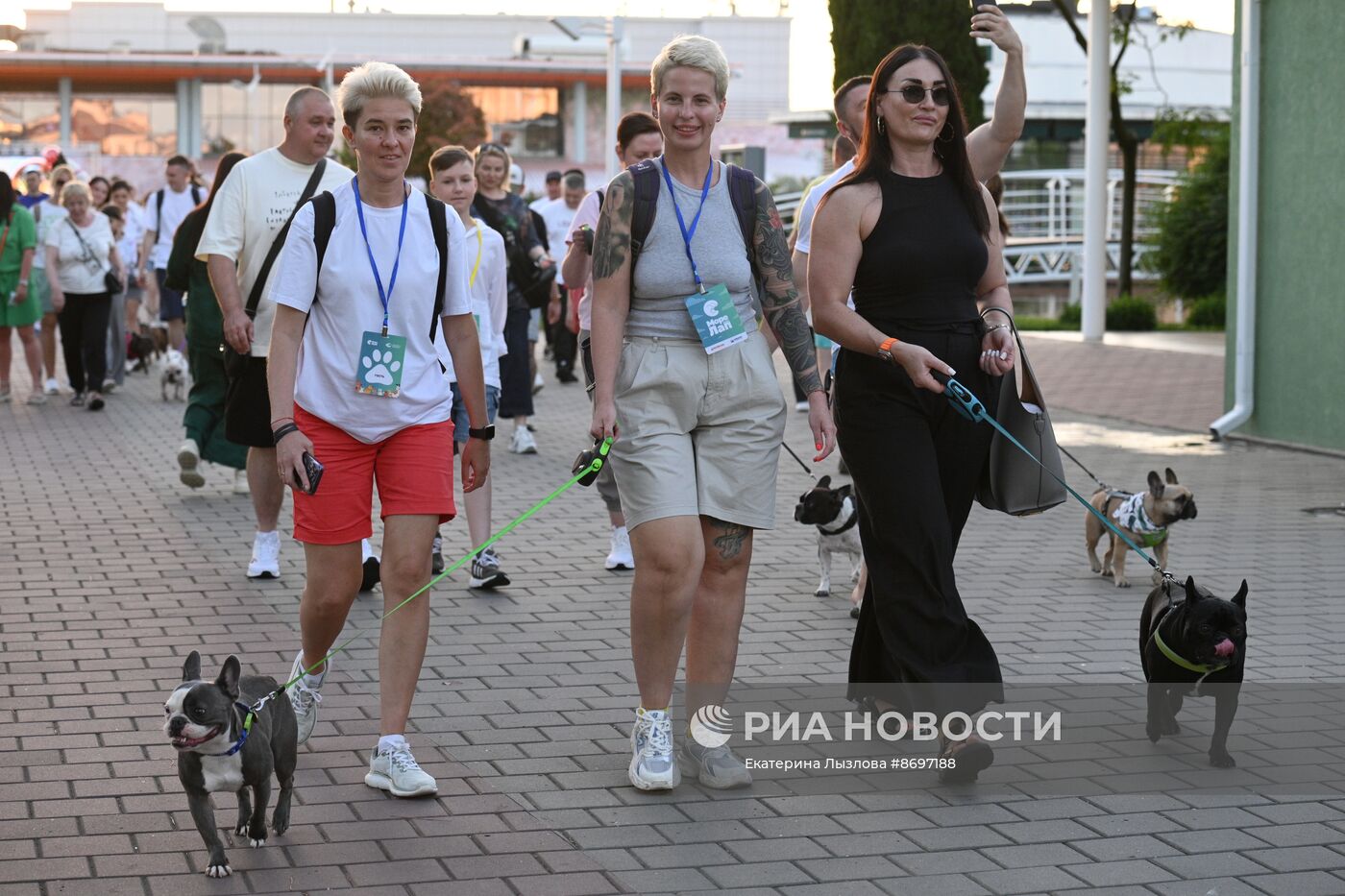 Парад французских бульдогов в Сочи