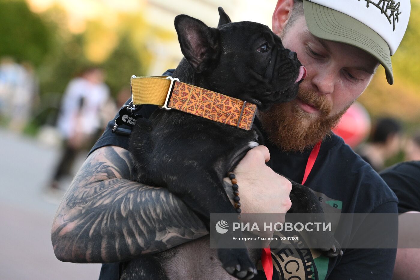 Парад французских бульдогов в Сочи