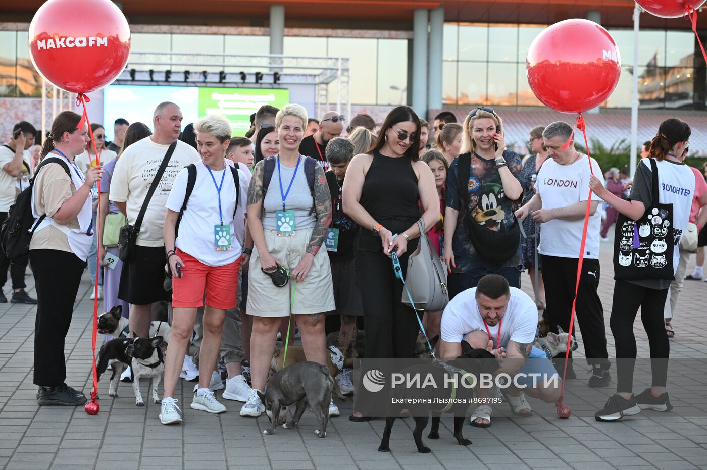 Парад французских бульдогов в Сочи