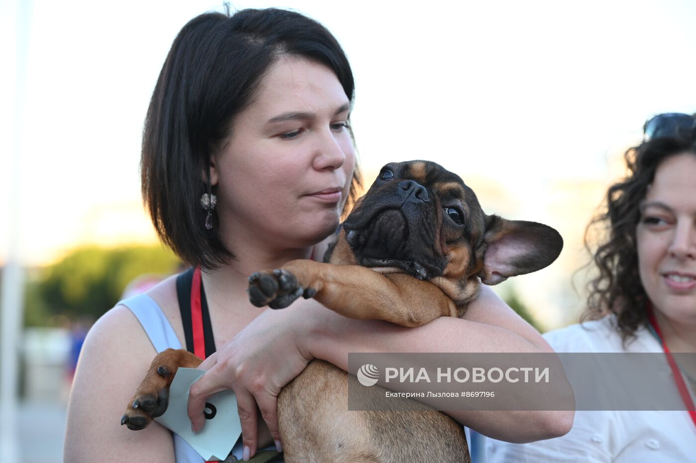 Парад французских бульдогов в Сочи