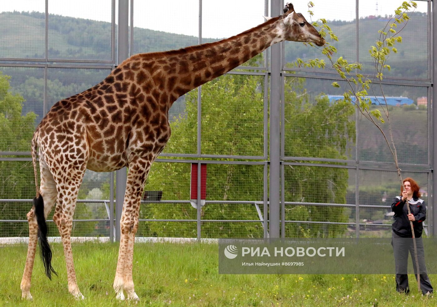 Парк флоры и фауны "Роев ручей" в Красноярске