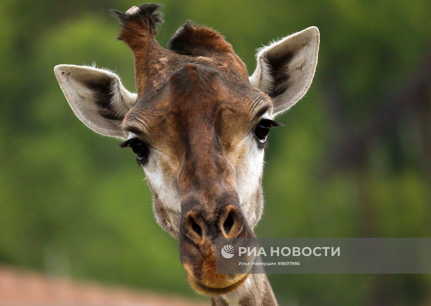 Парк флоры и фауны "Роев ручей" в Красноярске