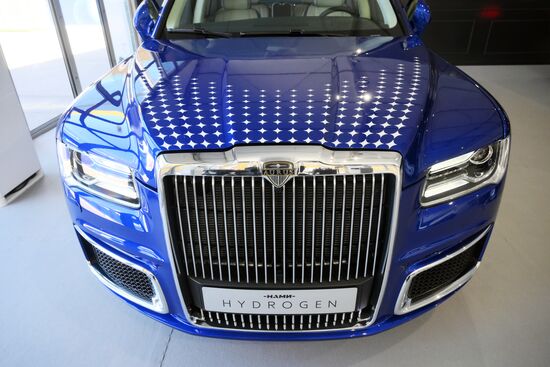 Работа ПМЭФ-2024