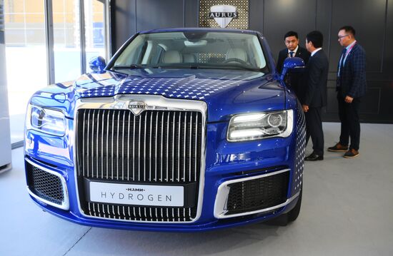 Работа ПМЭФ-2024