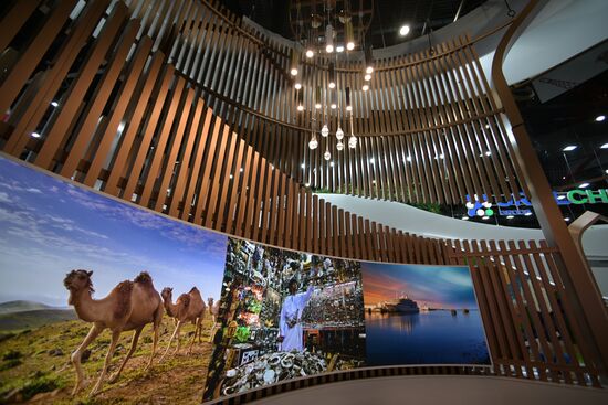 Работа ПМЭФ-2024