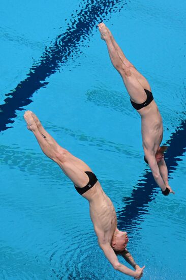 Чемпионат России по прыжкам в воду. Синхронные прыжки. Трамплин 3 метра. Мужчины. Финал