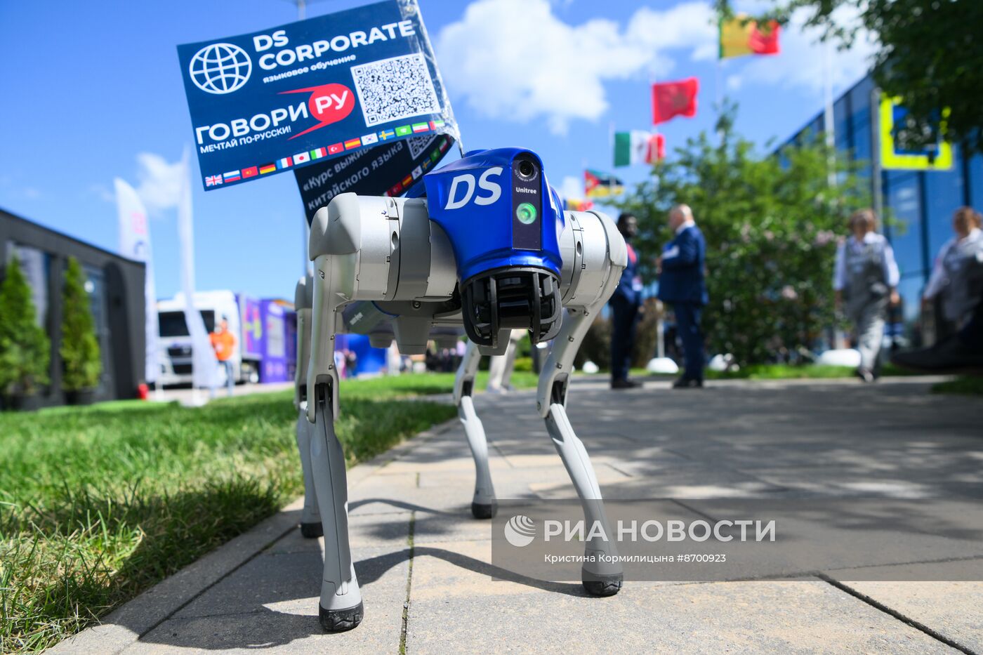 ПМЭФ-2024. Работа форума