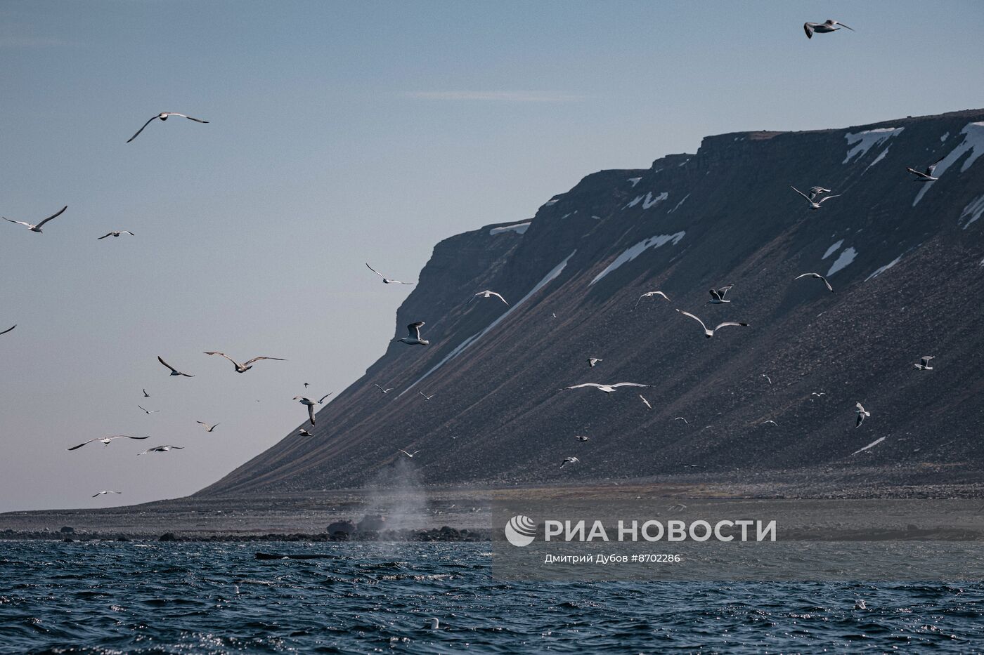 Кольский залив в Мурманской области