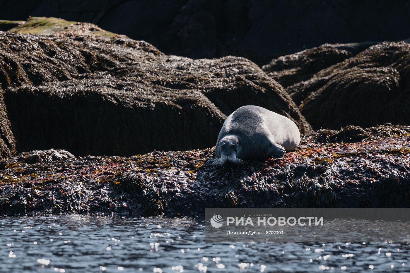 Кольский залив в Мурманской области