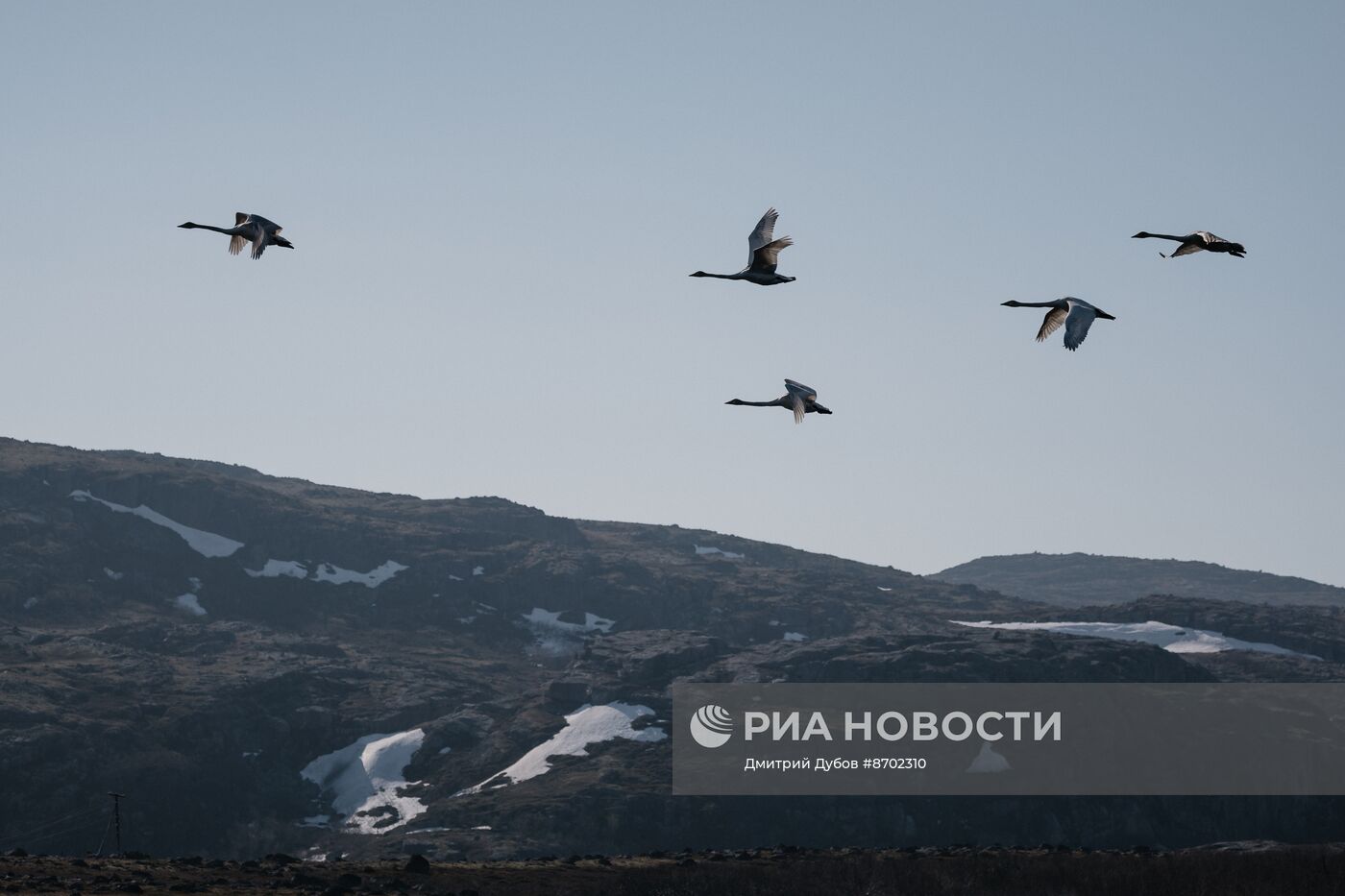 Кольский залив в Мурманской области