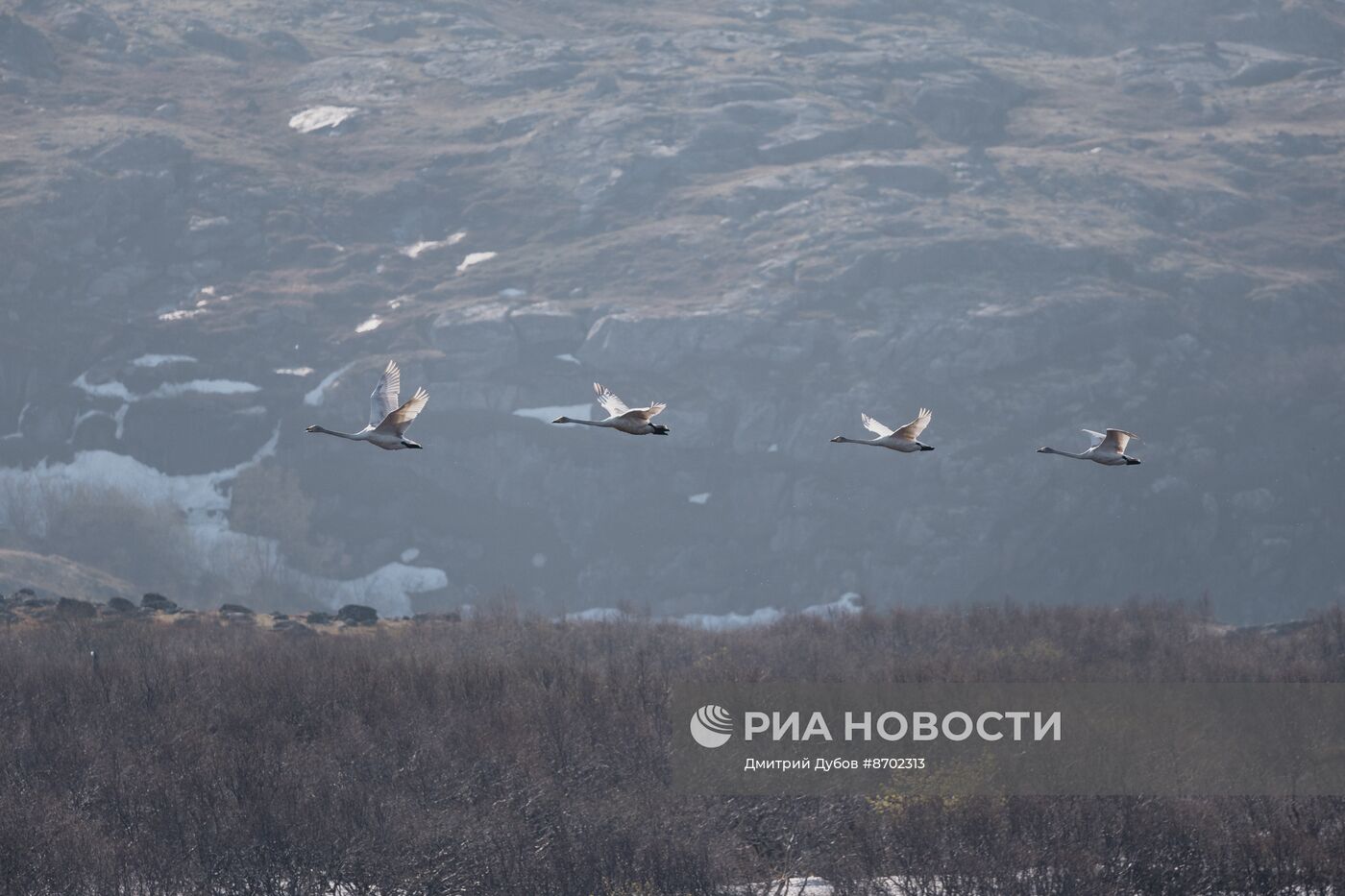 Кольский залив в Мурманской области