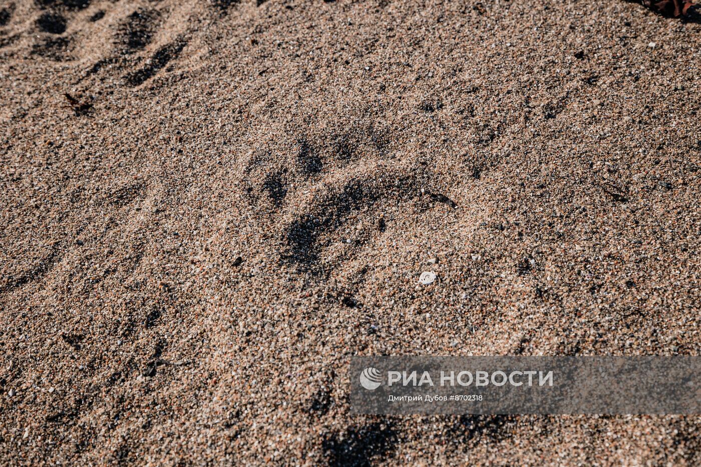 Кольский залив в Мурманской области