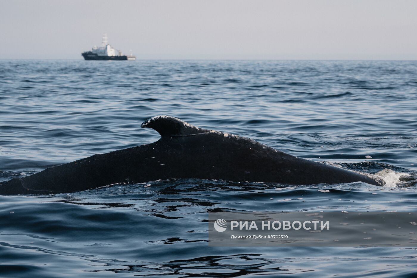 Кольский залив в Мурманской области