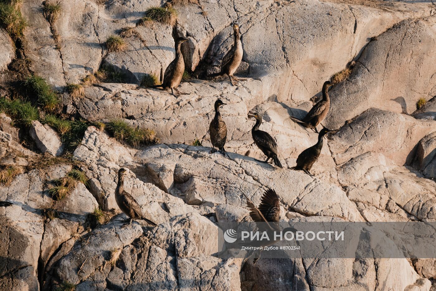 Кольский залив в Мурманской области