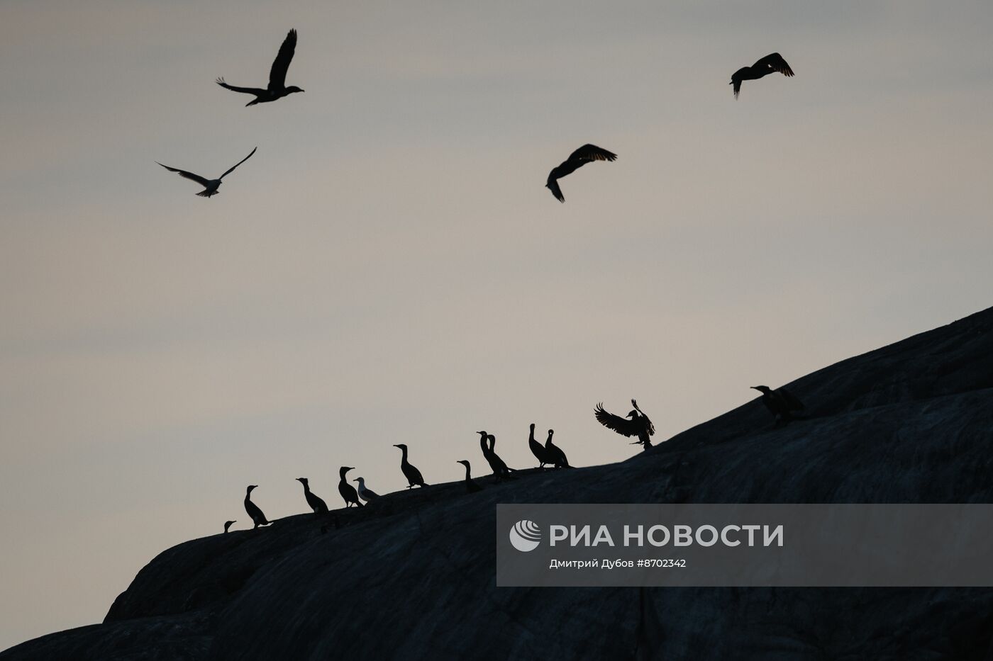 Кольский залив в Мурманской области