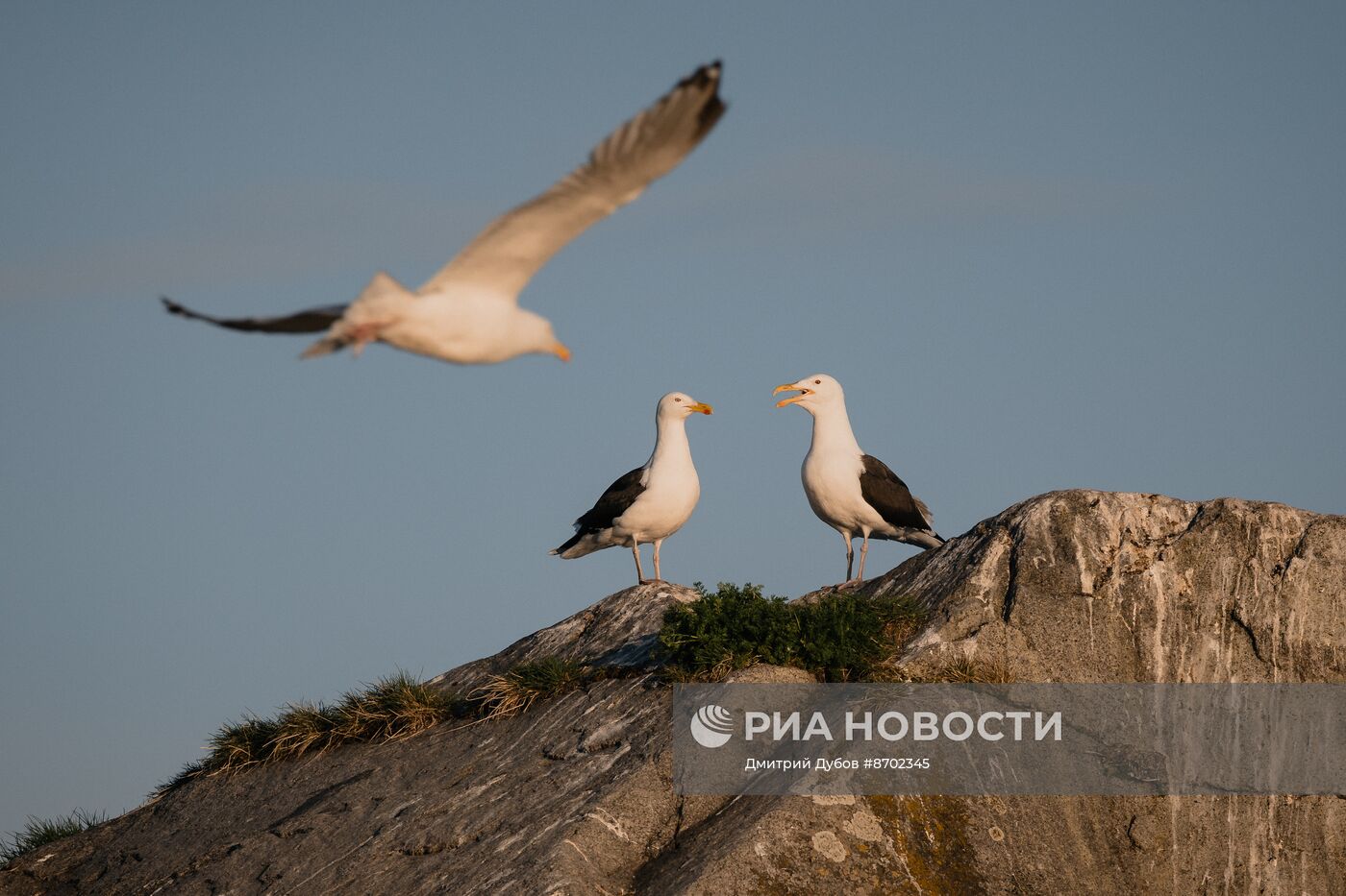 Кольский залив в Мурманской области