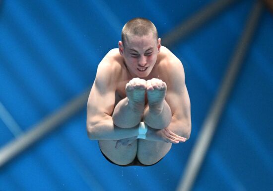 Чемпионат России по прыжкам в воду. Вышка 10 метров. Мужчины. Финал