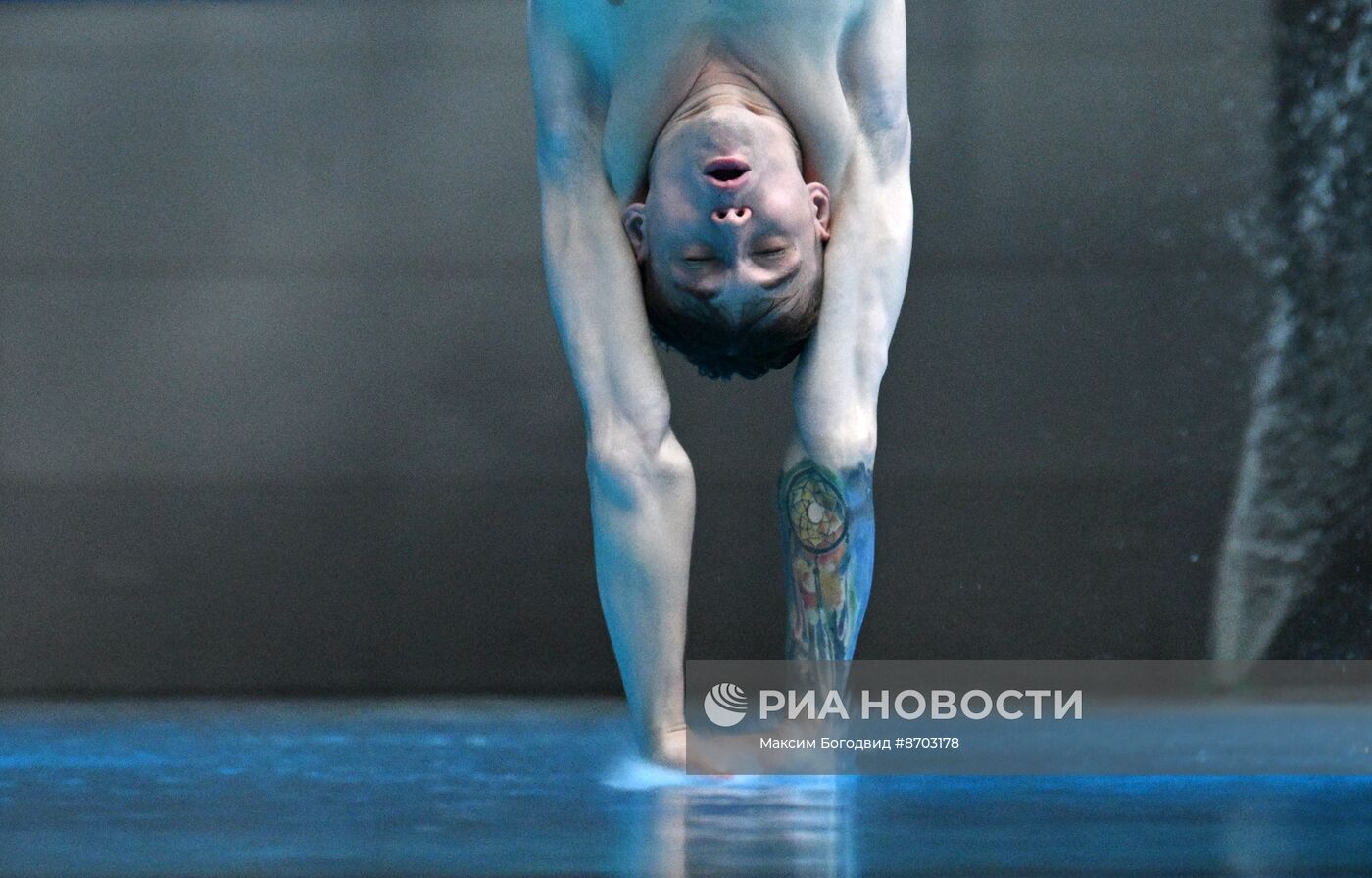 Чемпионат России по прыжкам в воду. Вышка 10 метров. Мужчины. Финал