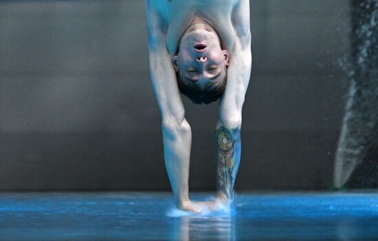 Чемпионат России по прыжкам в воду. Вышка 10 метров. Мужчины. Финал