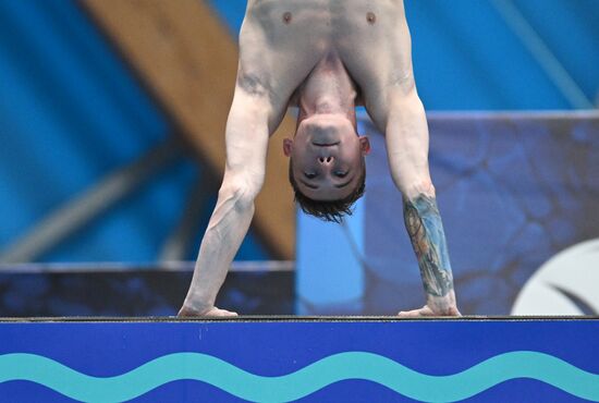 Чемпионат России по прыжкам в воду. Вышка 10 метров. Мужчины. Финал