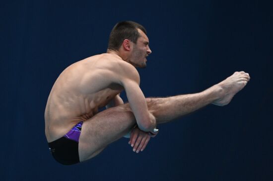 Чемпионат России по прыжкам в воду. Вышка 10 метров. Мужчины. Финал