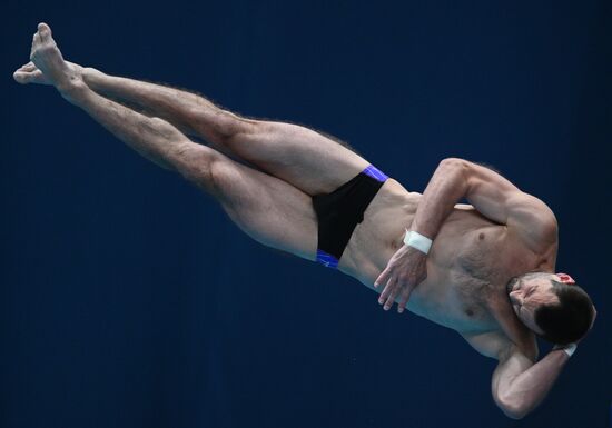 Чемпионат России по прыжкам в воду. Вышка 10 метров. Мужчины. Финал