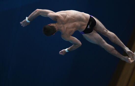 Чемпионат России по прыжкам в воду. Вышка 10 метров. Мужчины. Финал