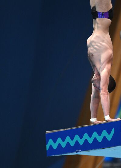 Чемпионат России по прыжкам в воду. Вышка 10 метров. Мужчины. Финал