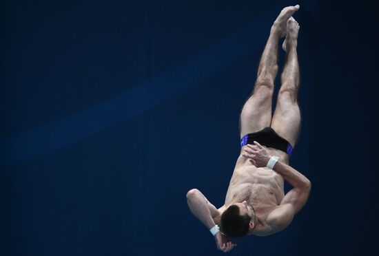 Чемпионат России по прыжкам в воду. Вышка 10 метров. Мужчины. Финал