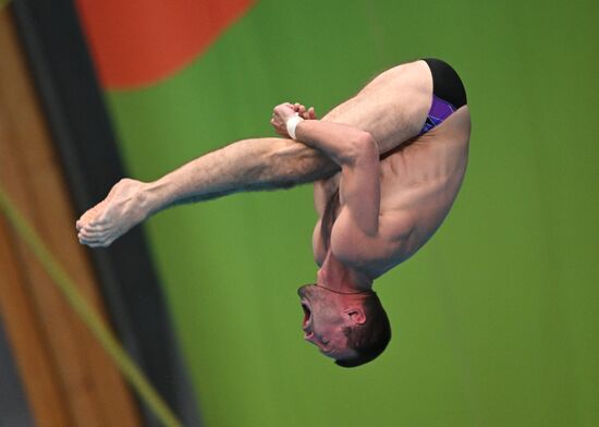 Чемпионат России по прыжкам в воду. Вышка 10 метров. Мужчины. Финал