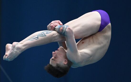 Чемпионат России по прыжкам в воду. Вышка 10 метров. Мужчины. Финал