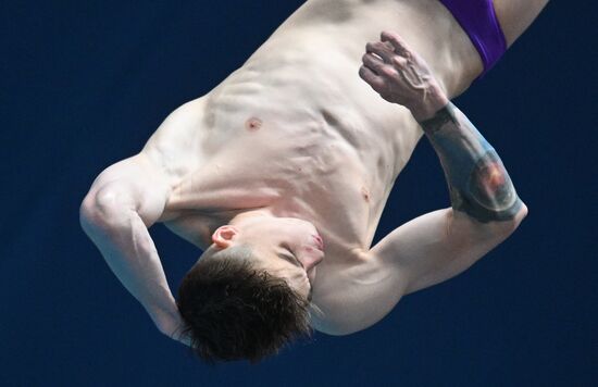 Чемпионат России по прыжкам в воду. Вышка 10 метров. Мужчины. Финал