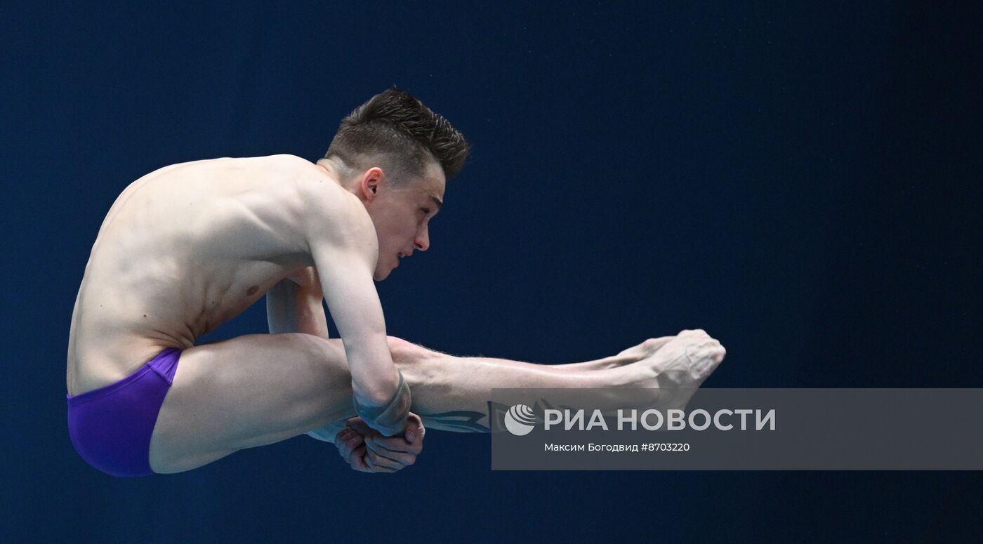 Чемпионат России по прыжкам в воду. Вышка 10 метров. Мужчины. Финал