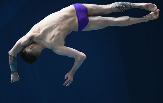 Чемпионат России по прыжкам в воду. Вышка 10 метров. Мужчины. Финал
