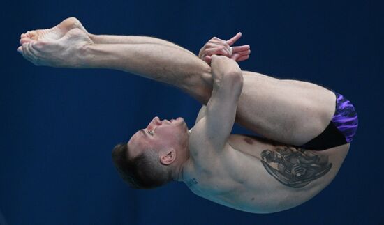Чемпионат России по прыжкам в воду. Вышка 10 метров. Мужчины. Финал