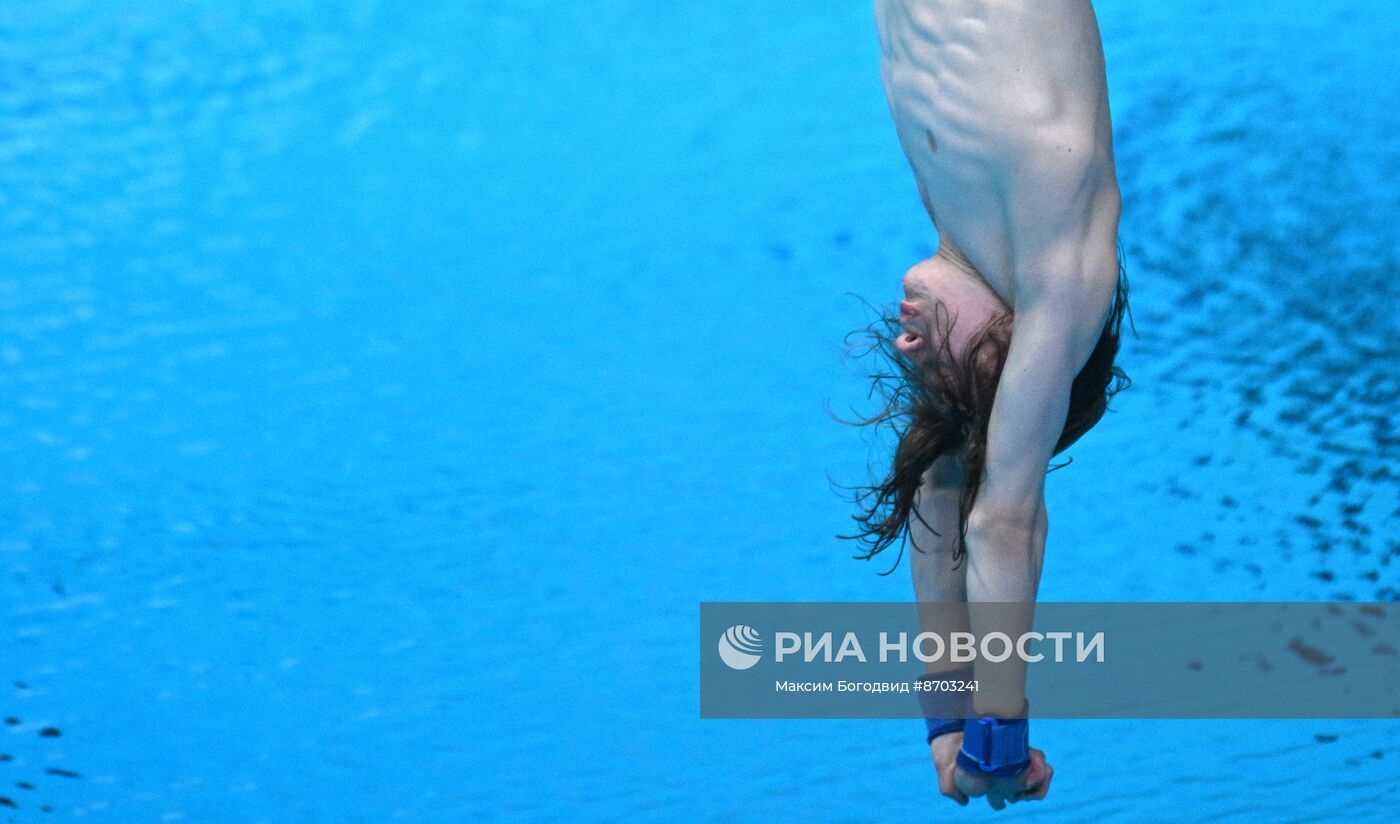 Чемпионат России по прыжкам в воду. Вышка 10 метров. Мужчины. Финал