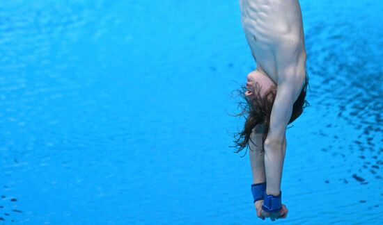 Чемпионат России по прыжкам в воду. Вышка 10 метров. Мужчины. Финал