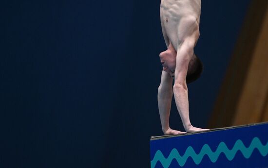 Чемпионат России по прыжкам в воду. Вышка 10 метров. Мужчины. Финал