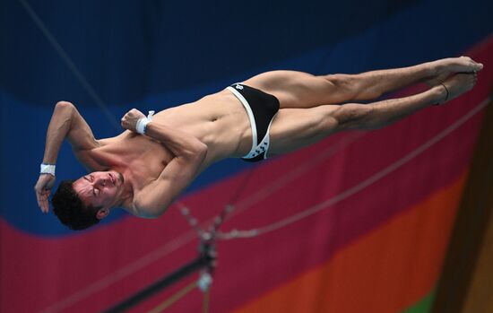 Чемпионат России по прыжкам в воду. Вышка 10 метров. Мужчины. Финал