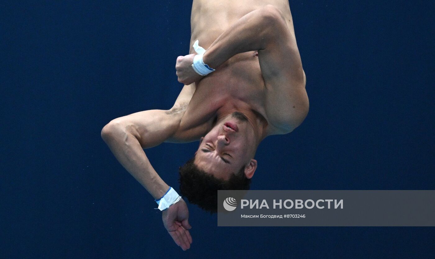 Чемпионат России по прыжкам в воду. Вышка 10 метров. Мужчины. Финал