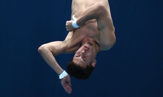 Чемпионат России по прыжкам в воду. Вышка 10 метров. Мужчины. Финал