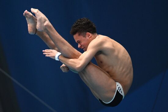 Чемпионат России по прыжкам в воду. Вышка 10 метров. Мужчины. Финал