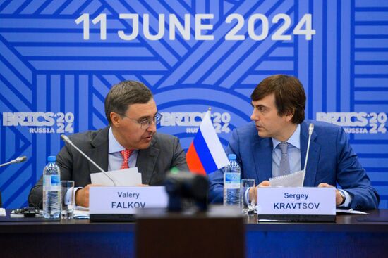 Встреча министров образования стран БРИКС в Казани