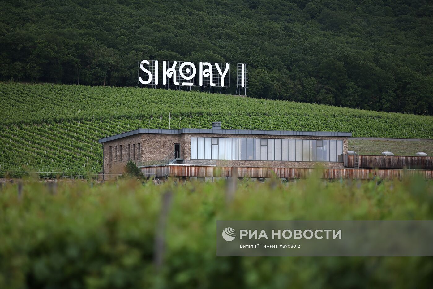 Фестиваль летних вин "Цвет лозы" 2024