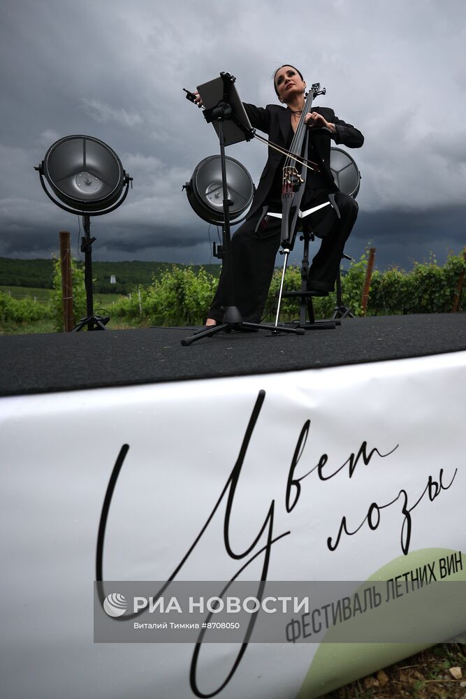 Фестиваль летних вин "Цвет лозы" 2024