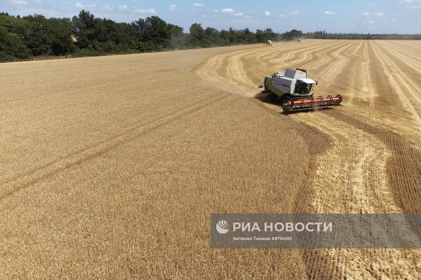 Уборка озимых культур в Краснодарском крае